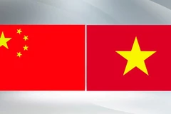 Confucius Institute in Vietnam fosters Vietnam-China cultural exchange
