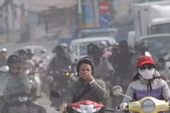 GAINS model to help alleviate air pollution in northern localities 