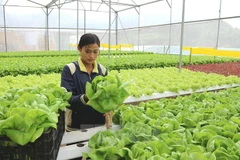 HCM City invests over 30 trillion VND in southern localities