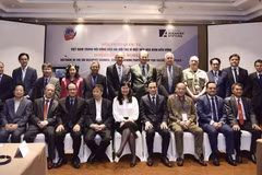Vietnam actively contributing to UN Security Council: official