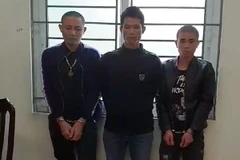 Drug trafficking ring from Son La to Hanoi intercepted