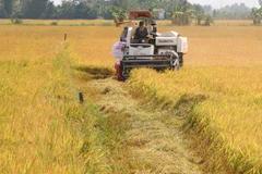 Mekong farmers use iPads to learn about ’smart’ agriculture