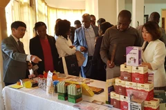 Vietnam, Mozambique seek to enhance trade, investment, tourism ties
