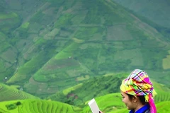 Digital farming holds key to solving agriculture paradox