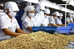 Hanoi boosts exports to Africa 