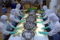 Trade pacts bring opportunities for seafood industry's sustainable growth