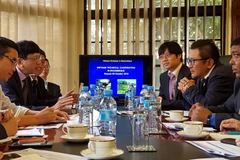 Vietnamese, Japanese firms partner to support Mozambique’s development