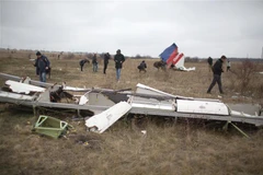 Australian MH17 bereaved families reach settlement with Malaysia Airlines