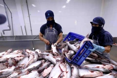 Tra fish exports to Russia slump