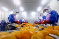 Vietnam’s export turnover up 7.3 percent in eight months