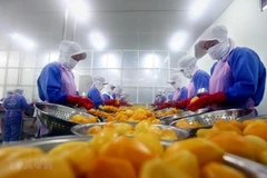 Vietnam’s export turnover up 7.3 percent in eight months
