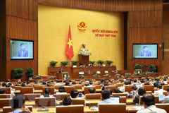 NA deputies to debate amendments to Law on Government Organisation