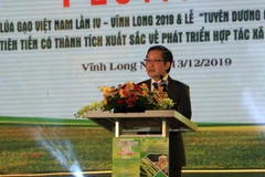 Fourth Vietnam Rice Festival underway in Vinh Long