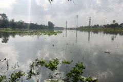 Flooding causes four deaths, heavy losses in central region