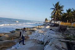 Netherlands supports Vietnam to prevent coastal erosion