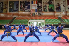 Egypt hosts Viet Vo Dao – Vovinam Championship