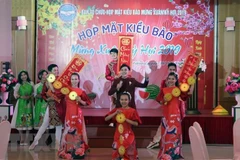 Regulations issued on overseas Vietnamese affairs committee 