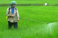 Vietnam bans weed killer ingredient glyphosate