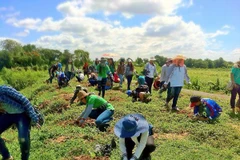Thai libraries take action to reduce carbon emissions