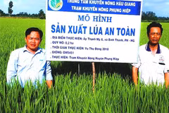  Hau Giang to pilot smart rice cultivation