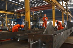 Vietnam promotes gender equality in domestic firms