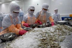 Vietnamese firms advised to tap opportunities in Japanese market