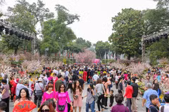 Japanese cherry blossom festival brings global wonders to Hanoi
