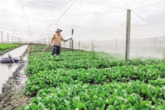 Seminar discusses ways to add value to farm produce