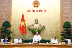 Government determined to fulfil set goals: PM