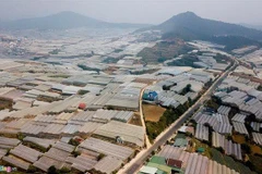 Greenhouse expansion damages Da Lat’s environment