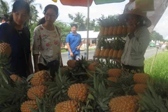 Hau Giang province urged to make greater development efforts