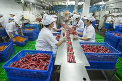 Foreign investors pour money into food processing, drinks industry
