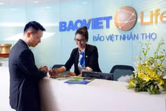 Insurance sector posts 24-percent rise in revenue