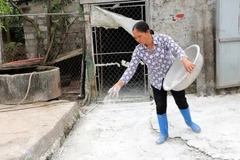 Hanoi city still struggles with African swine fever 