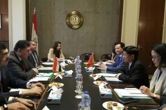 Egypt wants to develop ties with Vietnam