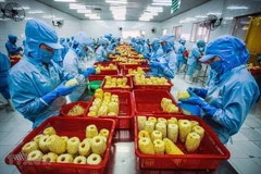 Vietnam’s export tunover surges 7.4 percent in 10 months 