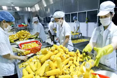 Vietnam seeks to boost fruit-vegie-flower exports to Asia, Europe 
