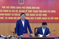 Incentives should be applied for effective FDI firms: Deputy PM