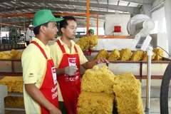 Rubber exports up in volume, down in value 