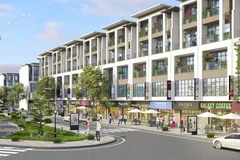Experts caution against investing in shophouses