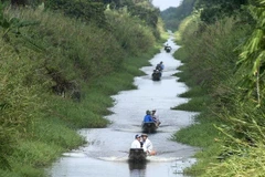 Eco-tourism site to be developed in U Minh Ha National Park