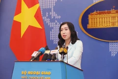 Spokeswoman makes clear Vietnam’s views on trade fraud, sea-related issues