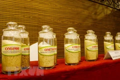 Hong Kong firms seek to import rice from Can Tho