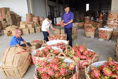 Product quality a prerequisite to win RoK consumers’ taste