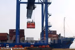 Maritime sector focuses on administrative reform
