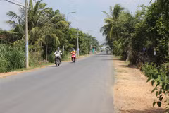New-style rural area programme improves incomes in HCM City