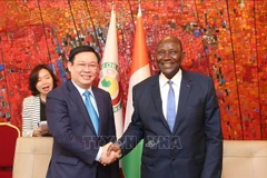 Vietnam, Ivory Coast hold huge cooperation potential: Deputy PM