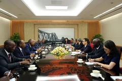 Vietnam ready to share experience with Ivory Coast: Deputy PM 