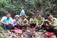 Over 80 wild animals reintroduced at national park