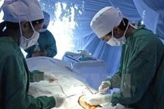 Biomedical research has potential to produce new Vietnamese drugs